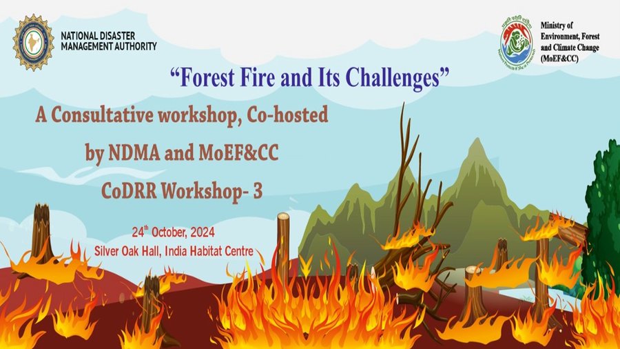 Consultative Workshop on Forest Fire